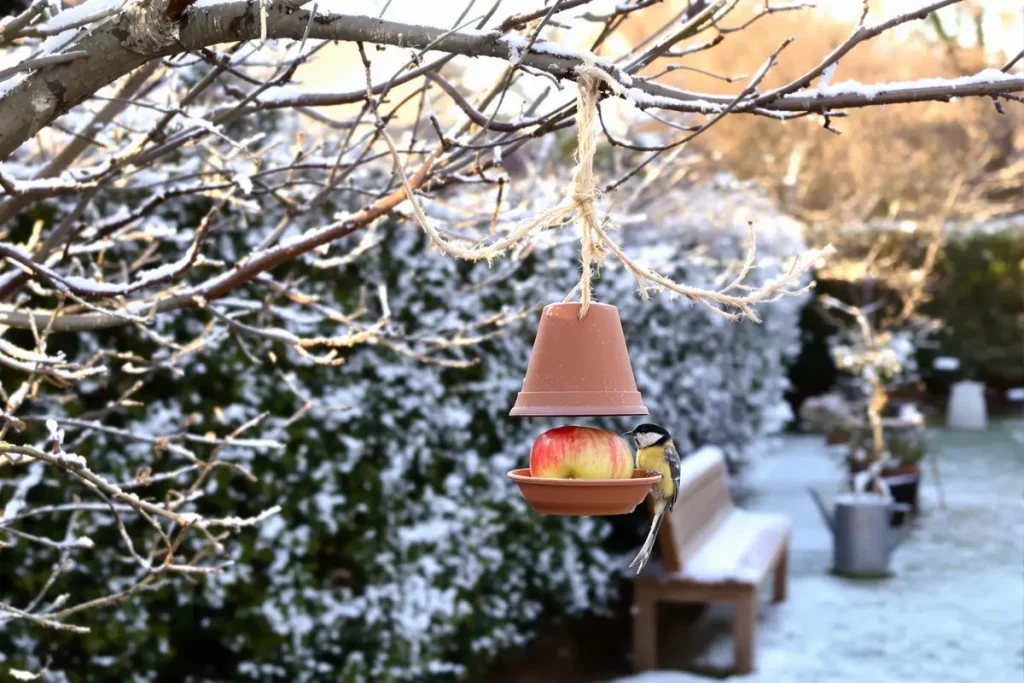 Incroyable : ce vieux pot et une coquille d’œuf sauvent vos mésanges l’hiver !